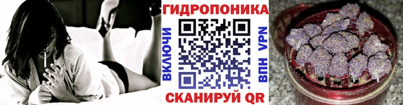 МЕГА ссылки  наркота  Сосновка  Бошки марихуана семена 